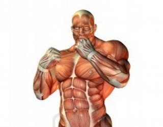 Claves para ganar masa muscular