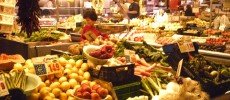 Todo sobre los nutrientes esenciales Todo sobre los nutrientes esenciales