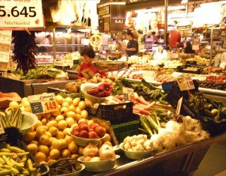 Todo sobre los nutrientes esenciales