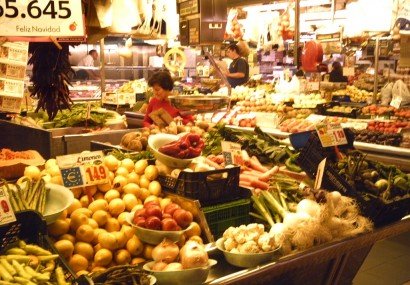 Todo sobre los nutrientes esenciales