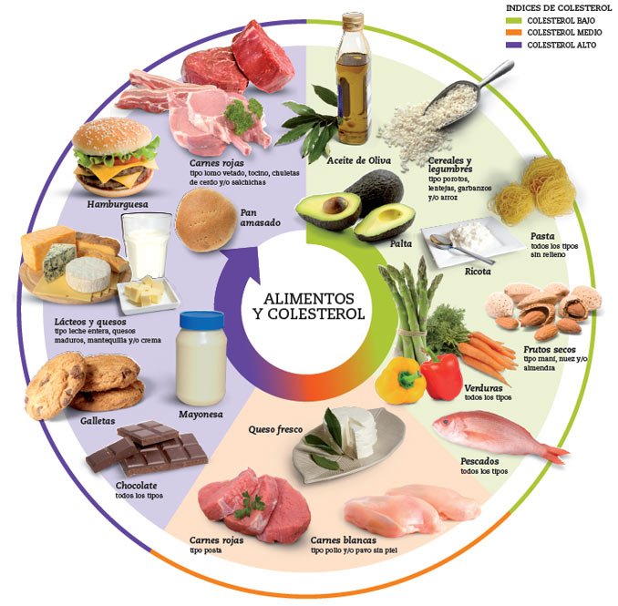 Alimentos y colesterol