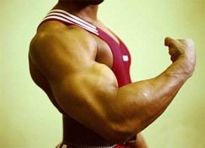 Gana Músculos