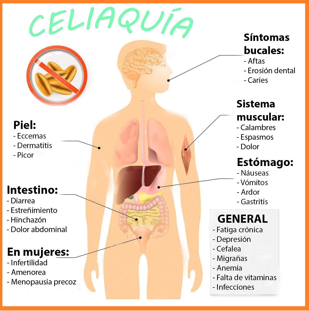 coeliac-disease-celiac-disease-sprue-signs-symptoms-human-silhouette-highlighted-internal-organs-56210159-9783556